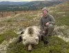 Brown Bear Hunts in Alaska