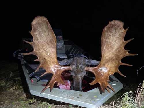 Guided Hunts in Alaska