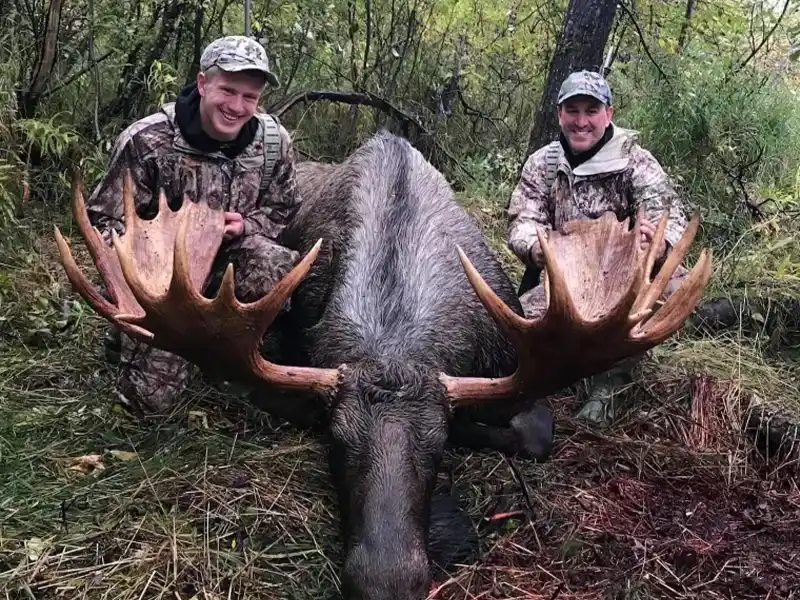 Alaska Moose Hunting Trips